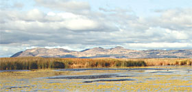 photo of lower klamath lake natl wildlife area